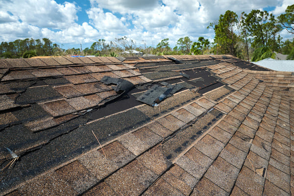 Fly High Roofing and Exteriors